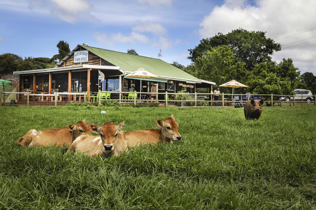 Natures Way Farm Cottage The Crags Exterior photo